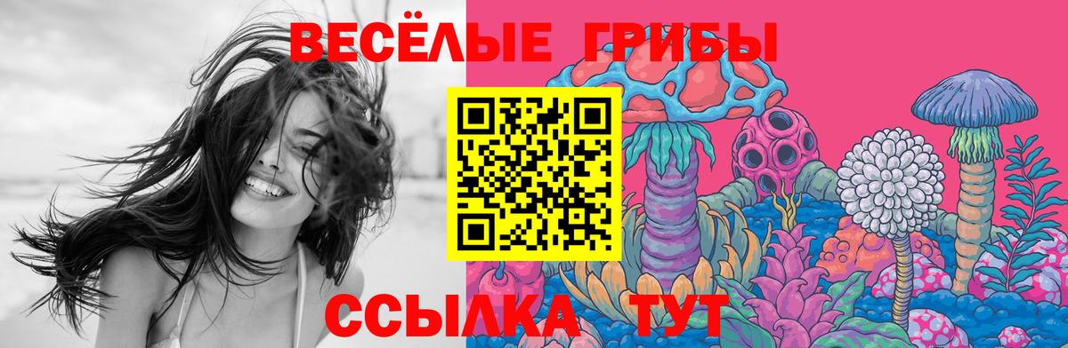 Псилоцибиновые грибы Magic Shrooms  Вход с VPN  как найти   Кыштым 
