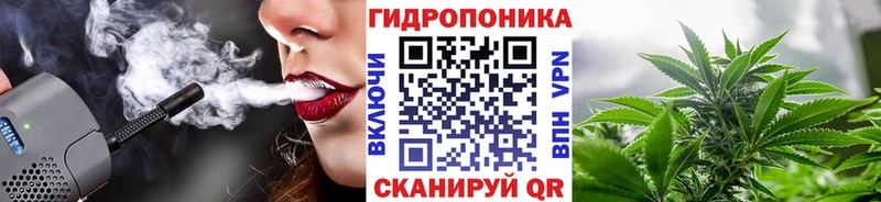 Шишки марихуана план  ссылка на мегу маркетплейс  Кыштым 
